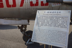 30733 Shenyang F-6