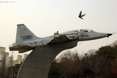 Northrop F-5B Freedom Fighter 42-117 Republic of Korea Air Force, Boramae Park, Seoul