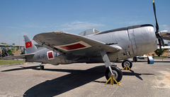 Curtis P-47D Thunderbolt 7021/DE-21