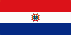 Paraguayan flag