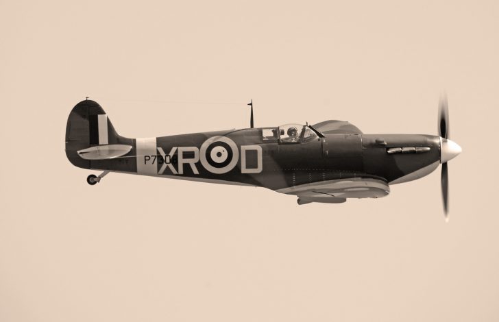 Supermarine Spitfire Mk IIa (G-AIST) P7308/XR-D 71sqn RAF