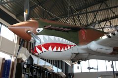 Curtiss P-40N Warhawk (replica) 67 USAAF, 