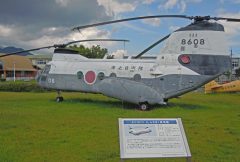 Kawasaki Vertol KV-107-IIA-3A 8608 JMSDF, JMSDF Naval Aviation Museum Kanoya, Japan