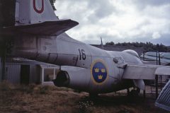 Saab J29A Flygande Tunnan 29203/U Swedish Air Force, Svedinos Bil- och Flygmuseum Ugglarp, Sweden