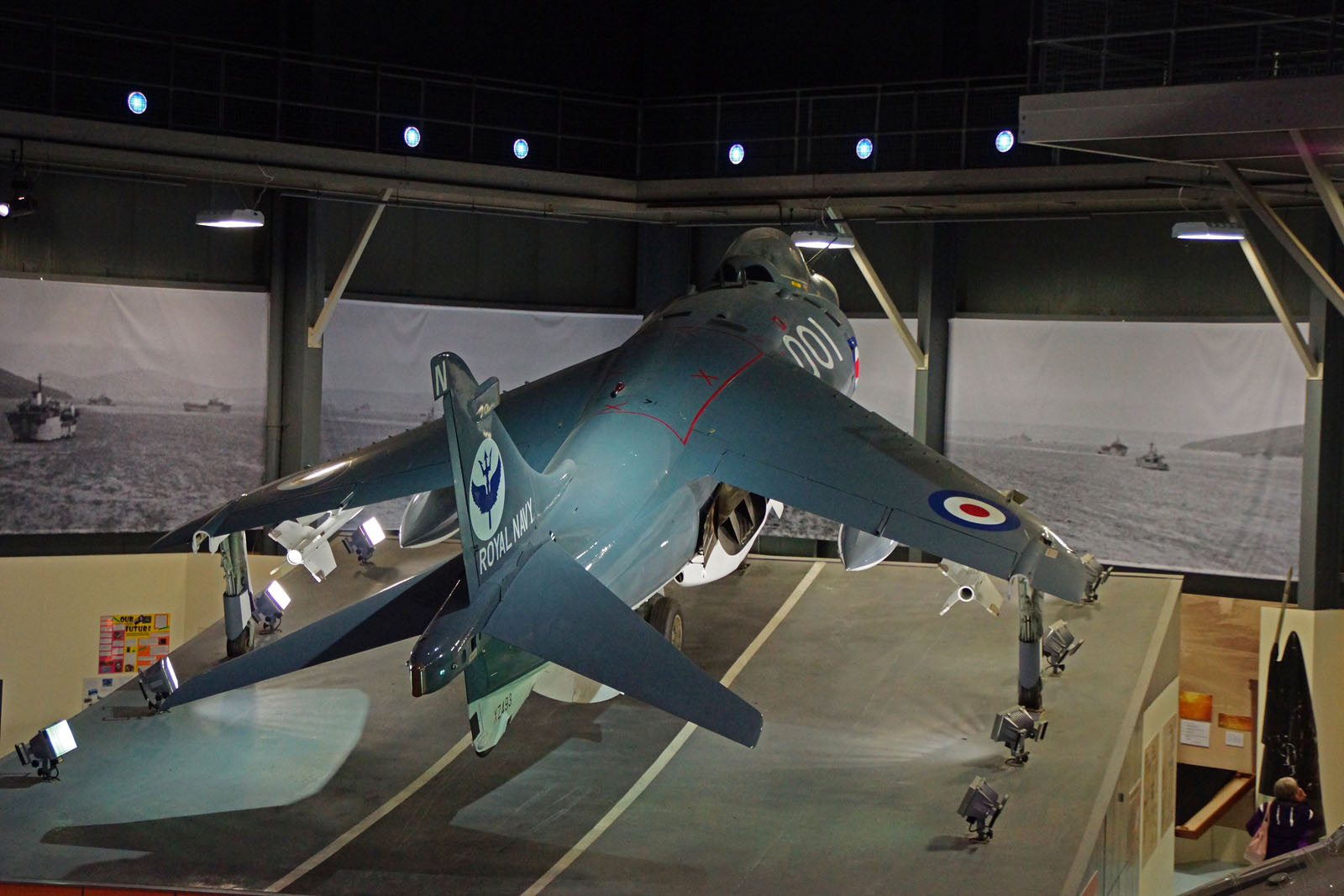 British Aerospace Sea Harrier FRS.1 – AviationMuseum