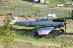 PZL-Mielec TS-8 Bies 0309 Polish Air Force, Parco Tematico dell’Aviazione, Rimini, RN, Italy