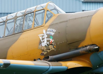 North American Harvard 4 G-BJST/AJ841 RAF "Wacky Wabbit", Daks over Normandy