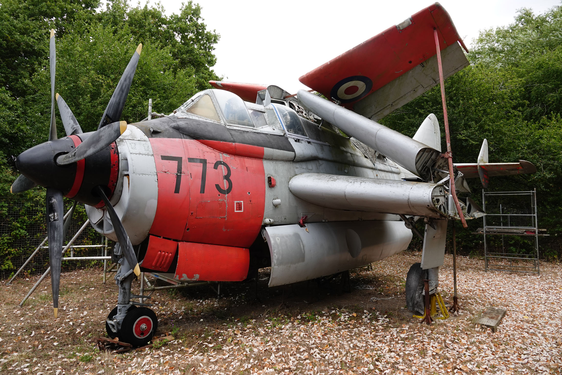 Fairey Gannet T.5 XG883/773 FAA Royal Navy, Museum of Berkshire Aviation, Woodley